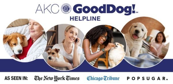 Good dog helpline 