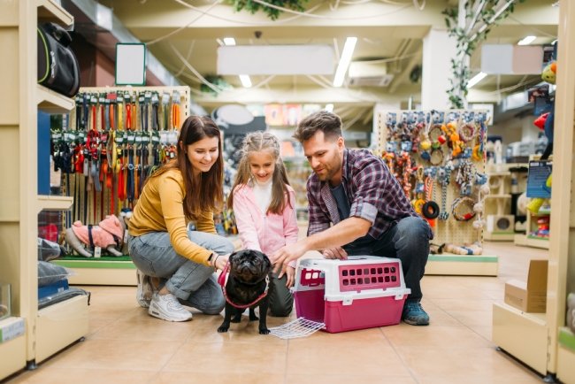 About Our Company – Petland Lee's Summit, Missouri